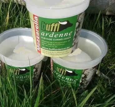 Mozzarella belge lait de buflonne