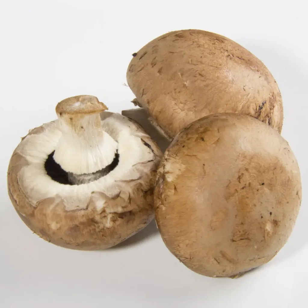 Champignons (prix/kg)