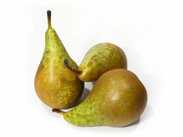 Poires conférence 500gr (prix/kg) 