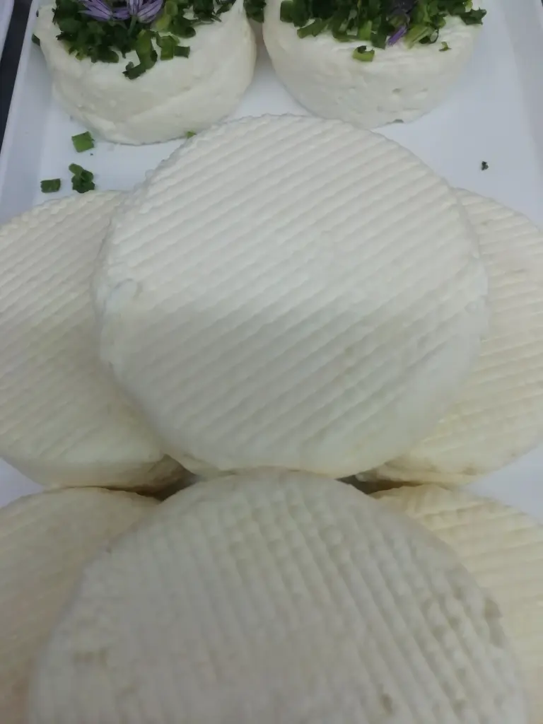 Frais nature au lait de brebis