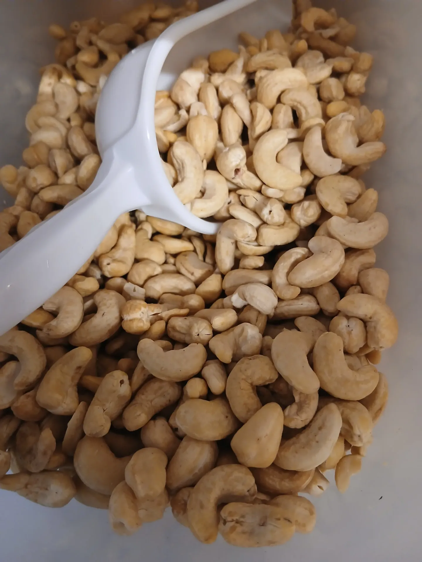 Cajoux natures 150gr (prix/kg) 