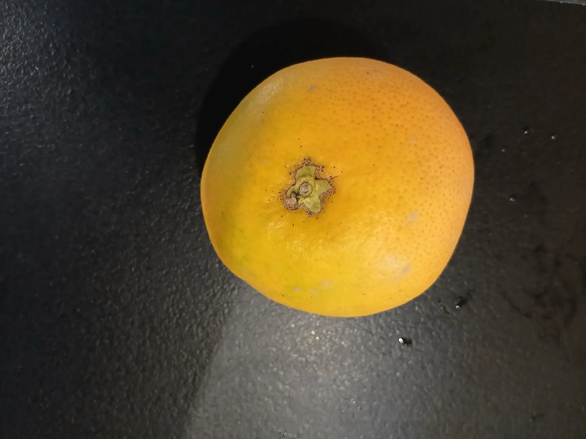 Pomelos 500gr (prix/kg) 