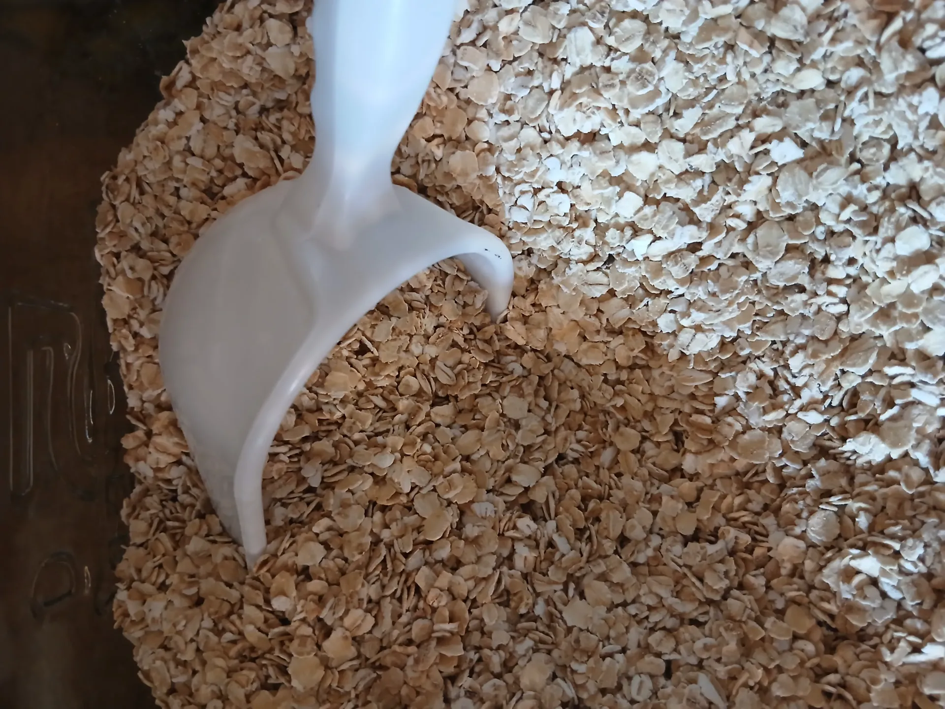 Flocons avoine vrac 250gr  (prix/kg) 