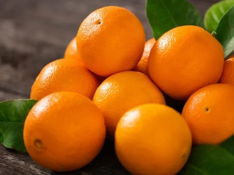 Oranges de table (prix/kg)