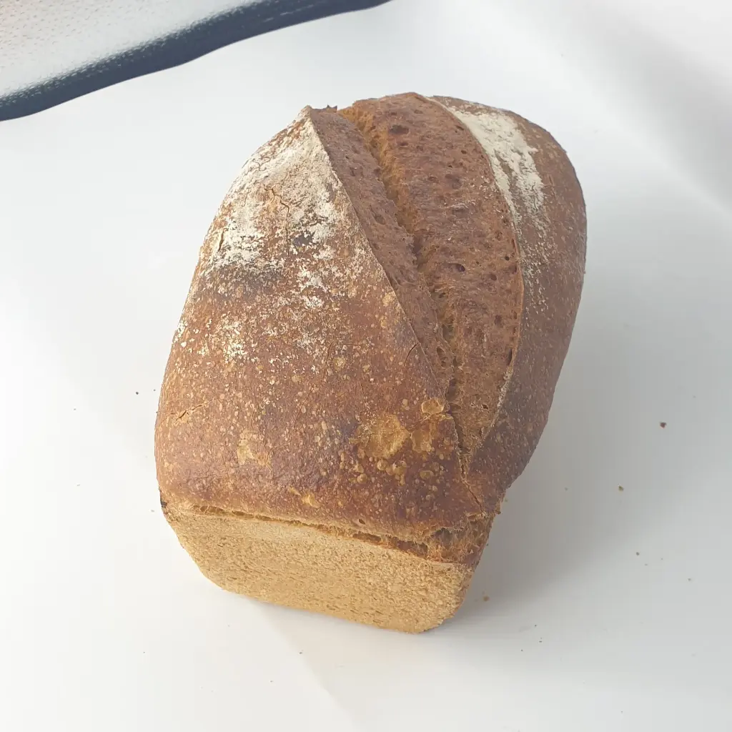 Epeautre levain