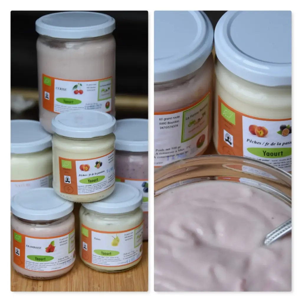 Yaourt lait de vache FRAISE Ferme Renaud (200ml)  